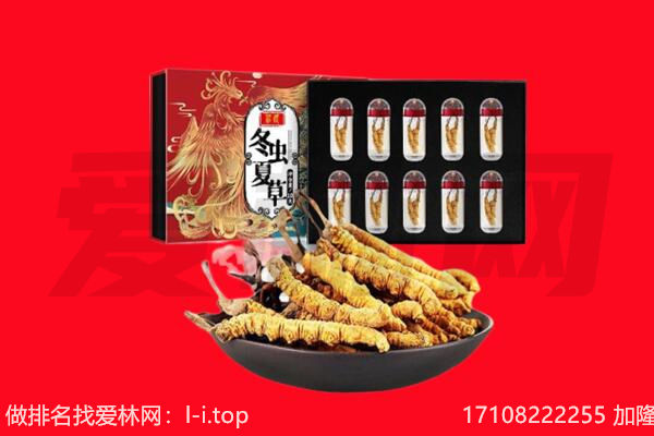 淮南市凤台回收虫草.jpg